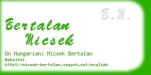 bertalan micsek business card